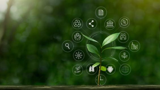 Set-up of an ESG Board for the listing and trading of Sustainability Products